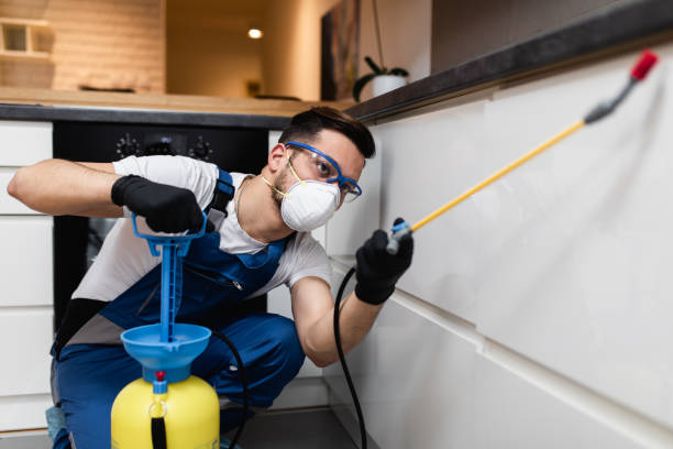 Best Rat Extermination Near Me  in Mohnton, PA