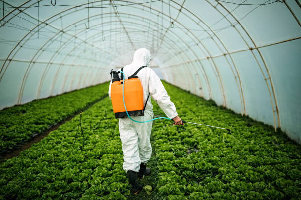 Best Pest Control for Restaurants  in Mohnton, PA
