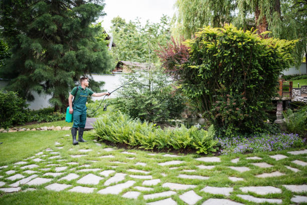Best Affordable Pest Control Services  in Mohnton, PA