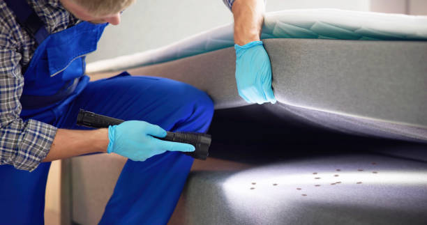 Best Best Pest Control Companies  in Mohnton, PA